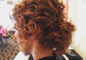 Low Maintenance Hairstyles Curly Hair Ideal Updo for Natural Curly Hair Treeclimbingasia