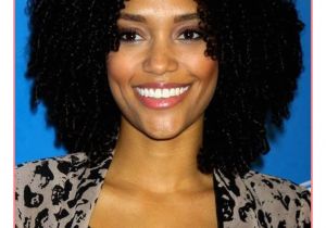 Medium Length Natural Hairstyles for Black Women Awesome Hairstyles Medium Length Natural Hairstyles for