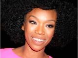 Medium Length Natural Hairstyles for Black Women Natural Hairstyles for African American Women and Girls