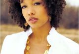Medium Length Natural Hairstyles for Black Women Natural Hairstyles Hairstyles