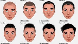 Men S Haircut Lengths Numbers A Few Hair Terms You May Need to Know