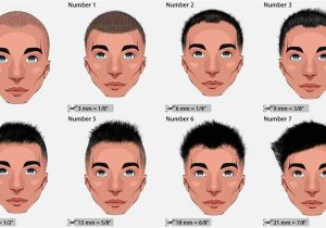 Men S Haircut Lengths Numbers A Few Hair Terms You May Need to Know