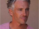 Men S Hairstyles Gray Hair 10 Mens Hair Colour Styles