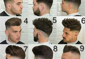 Mens Haircut Sunnyvale the Salon Guy Haircut Haircuts Models Ideas