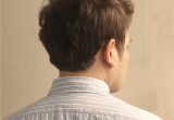 Mens Haircuts Back Of Head Mens Hairstyle for Back Head