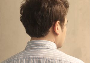Mens Haircuts Back Of Head Mens Hairstyle for Back Head