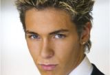 Mens Hairstyles 2000 2000 Mens Hairstyles Frosted Tips