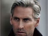 Mens Hairstyles Grey Hair Silver and Grey Hair for Men