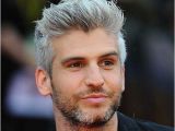 Mens Hairstyles Grey Hair Silver and Grey Hair for Men