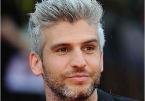 Mens Hairstyles Grey Hair Silver and Grey Hair for Men