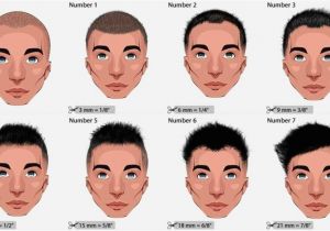 Mens Number 3 Haircut Haircut Numbers Guide to Hair Clipper Sizes