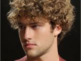 Mens Perm Hairstyles Perm Hairstyles for Men