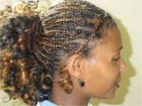 Micro Braid Ponytail Hairstyles Micro Braids In A Ponytail Hairstyles Stylis