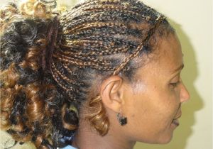 Micro Braid Ponytail Hairstyles Micro Braids In A Ponytail Hairstyles Stylis