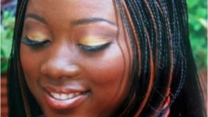 Micro Braids Hairstyles Updos Box Braids & Micro Braids