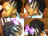 Mohican Hairstyle Braids Braided Mohawk with Braidout In the Middle Natural Hairstyles for