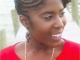 Natural Braided Hairstyles 2014 6 "must Have" Natural Hair Products 2016 