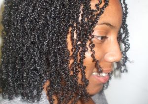 Natural Braided Hairstyles 2014 Lita Twist Cute I Wonder How they Do This Twisting with Curly