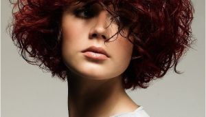 Natural Curly Bob Haircuts Naturally Curly Hairstyles