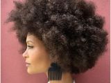 Natural Hairstyles Big Curls 1082 Best Natural Hair Crush Images