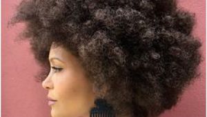 Natural Hairstyles Big Curls 1082 Best Natural Hair Crush Images