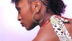 Natural Hairstyles with Braiding Hair My Hairspiration for the Day Braided Updo’s