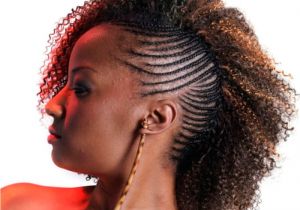 Natural Hairstyles with Braiding Hair Natural Hairstyles for African American Women and Girls