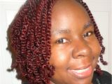 Natural Hairstyles with Braids and Twists Home [akiyia Webs]