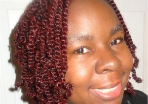 Natural Hairstyles with Braids and Twists Home [akiyia Webs]