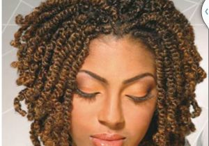 Natural Hairstyles with Braids and Twists Our Gallery