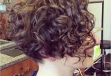 Pictures Of Short Curly Bob Hairstyles 32 Iest Short Curly Hairstyles for Women In 2018