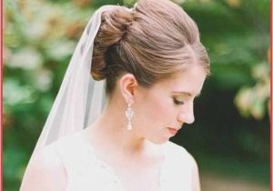 Pictures Of Wedding Hairstyles for Long Hair with Veil 18 Elegant Wedding Hairstyles with Veil