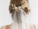 Pictures Of Wedding Hairstyles for Long Hair with Veil Cr¨me De La Cr¨me Wedding Suggestions Pinterest