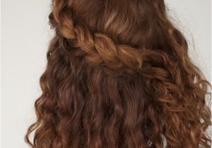 Plait Hairstyles for Curly Hair Curly Hair Tutorial the Half Up Braid Hairstyle Hair