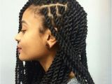 Protective Braid Hairstyles for Natural Hair 1204 Best Images About Braids ¤ Twist Natural Hair