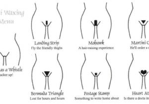 Pubic Hairstyles for Women with Photos the Advanced Guide to Getting Rid Of Your Pubic Hair