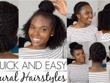 Quick and Easy Hairstyles for Natural Black Hair 7 Quick and Easy Hairstyles for Natural Hair