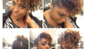 Quick and Easy Hairstyles for Natural Black Hair Easy Natural Hairstyles Simple Black Hairstyles for