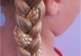 Really Cool Braided Hairstyles Triple Braided Pocahontas Braids & Circus Tickets Babes
