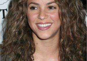 Shakira Curly Hairstyles 63 Elegant Hairstyles Shakira