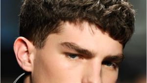 Short Haircuts for Men with Thick Curly Hair 50 Impressive Hairstyles for Men with Thick Hair Men