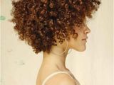Short Hairstyles for Kinky Curly Hair 25 Short Haircuts for Black Women