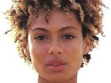 Short Hairstyles for Kinky Curly Hair Black Women and Short Hair Hairstyle for Black Women