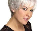 Short Hairstyles for Thin Gray Hair 14 Short Hairstyles for Gray Hair