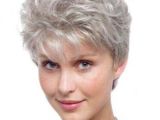 Short Hairstyles for Thin Gray Hair 14 Short Hairstyles for Gray Hair