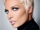 Short Hairstyles for Thin Gray Hair 35 Summer Hairstyles for Short Hair Popular Haircuts