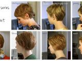 Short Hairstyles Growing Out Pixie Great Visual Of Monthly Interim Styles Between A Pixie and A Bob