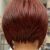 Short Inverted Bob Haircut Back View Short Angled Inverted Bob Hairstyles Back View Beauty