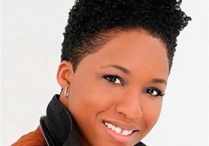 Short Natural Hairstyles for Black Women 2011 Natural Black Short Hairstyles 2011 Hairstyles