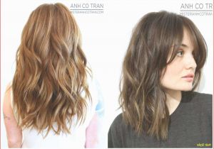 Simple Glamorous Hairstyles asian Hair Color Trends Beautiful Glamorous Hairstyles for Big